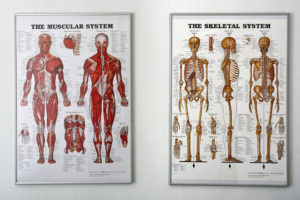 Physiotherapy FAQs, Wiltshire