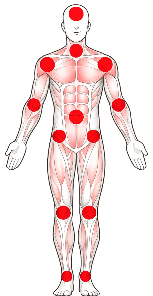Front-facing anatomical body chart with red pain-point markers